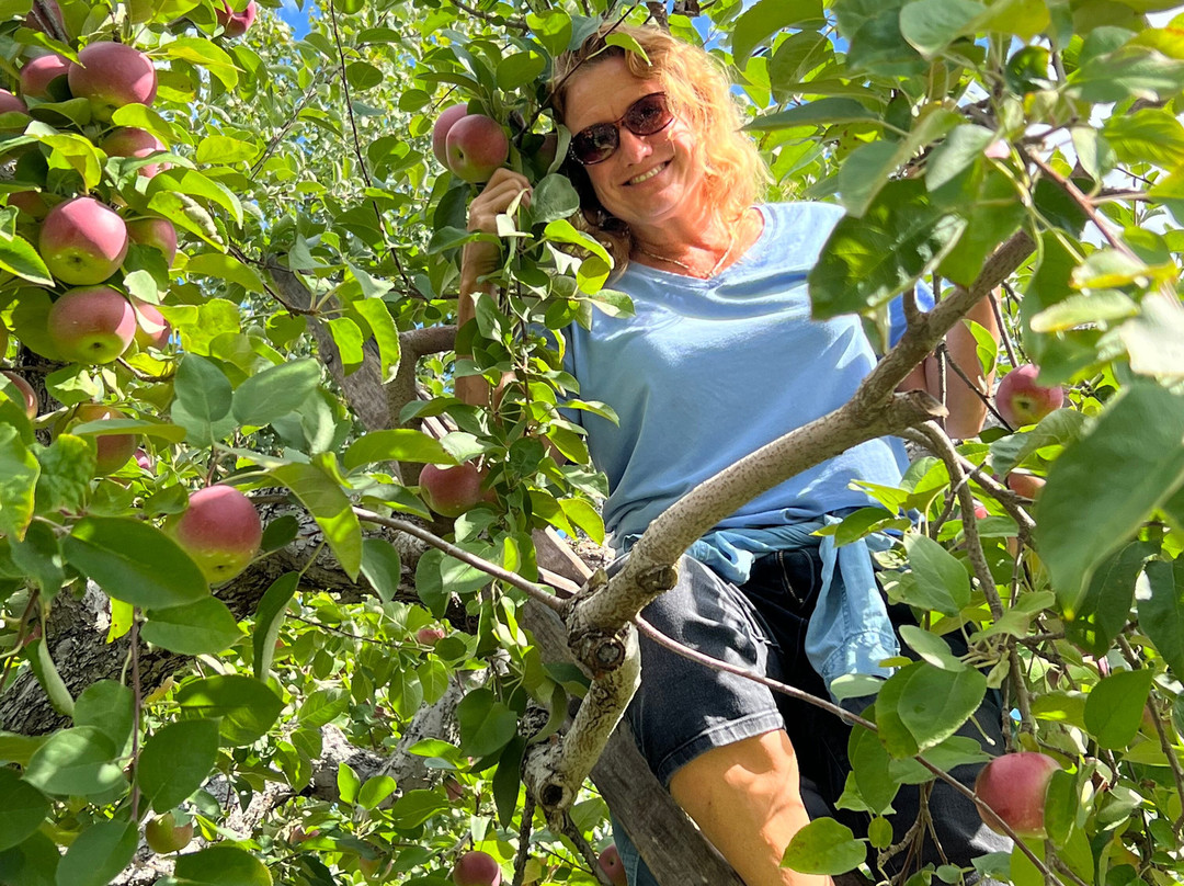 Go With Glo-克里斯特尔里弗必去景点