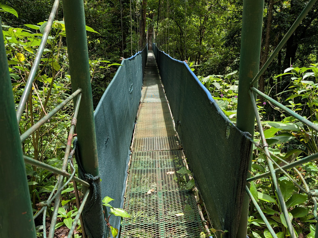 Heliconias Hanging Bridges Trails-Bijagua de Upala必去景点