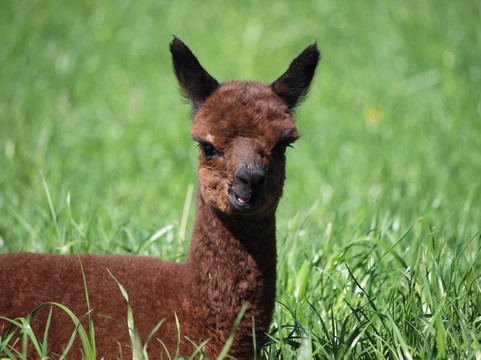 Guidance Dmc-赫尔辛基必去景点
