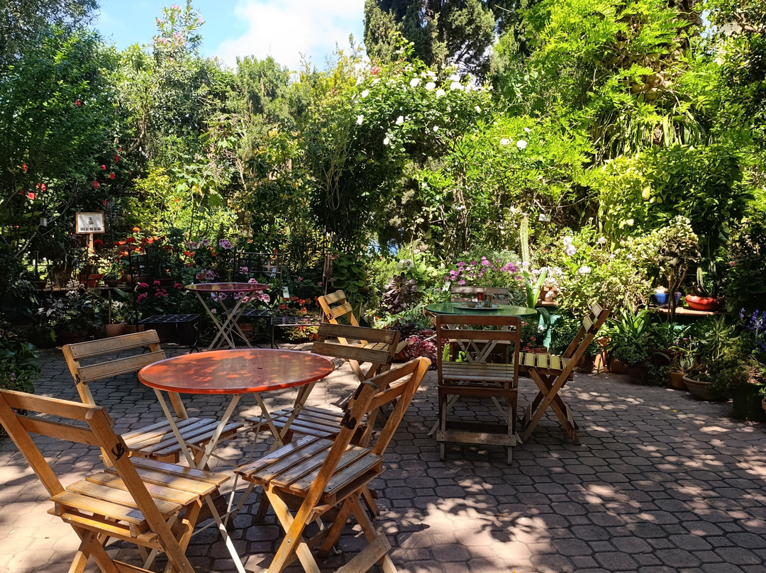 La Almunya del Sur Botanical Garden景点图片
