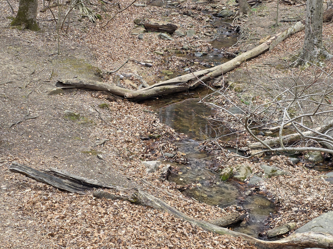 Patapsco Valley State Park-埃利科特城必去景点