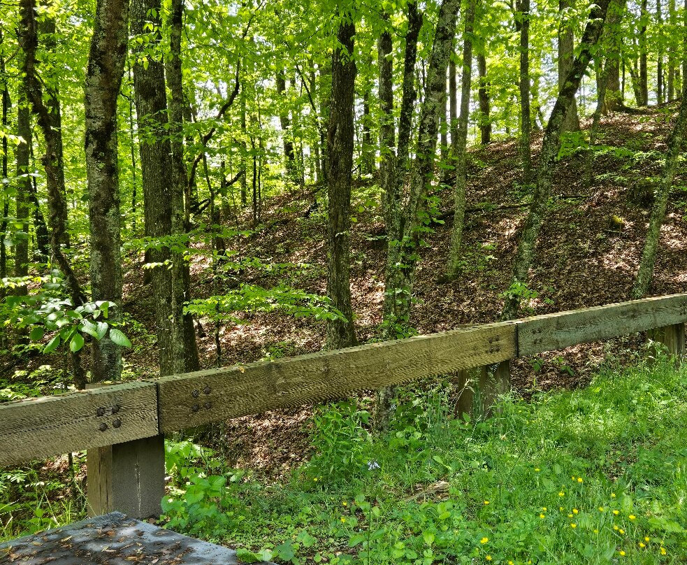 The Tunnel To Nowhere-布赖森城必去景点