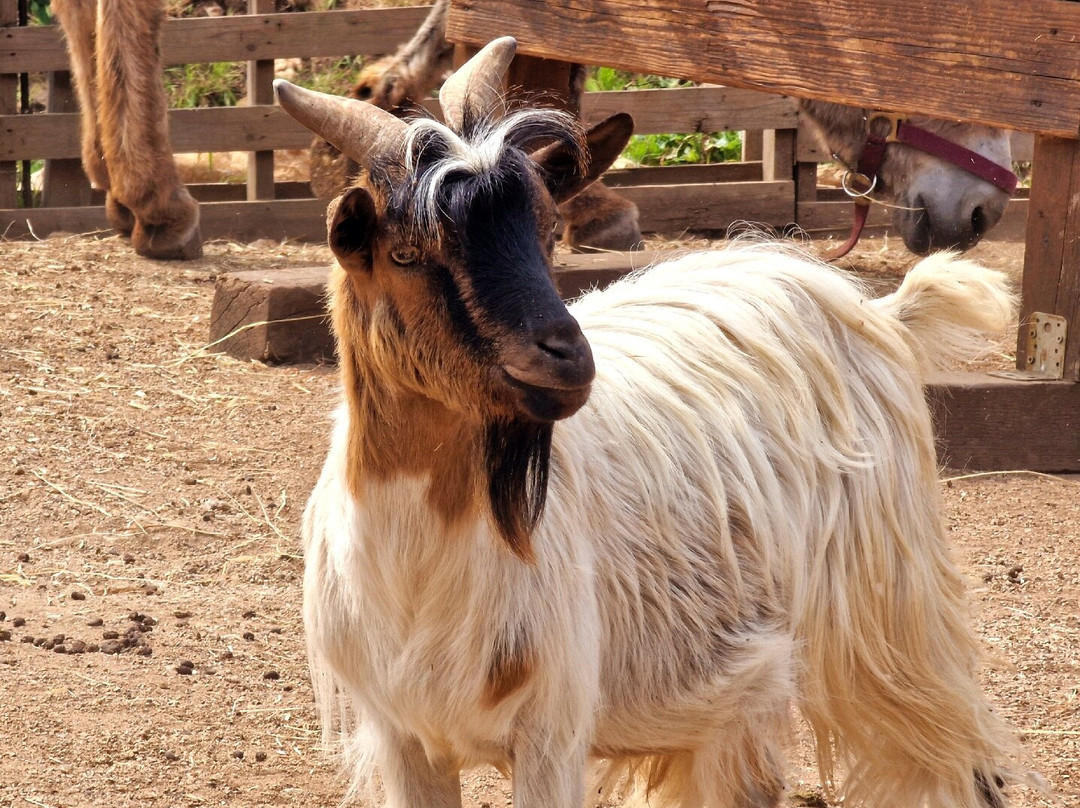 Rifugio Domo Mea-Olmedo必去景点