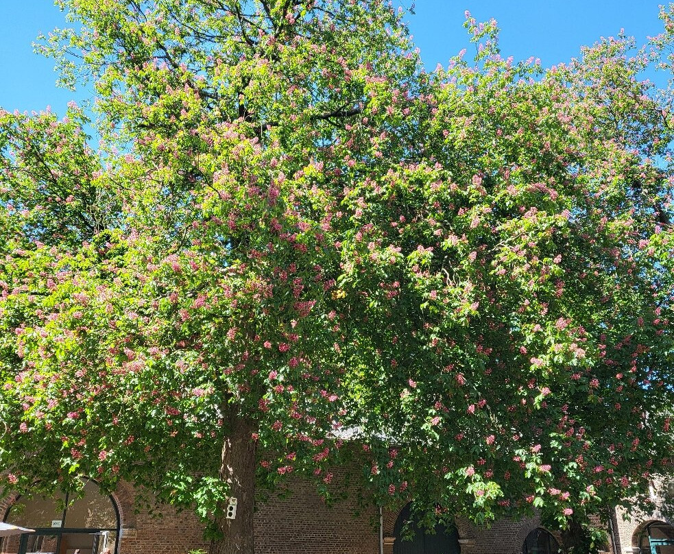 Schloss Paffendorf-Bergheim必去景点