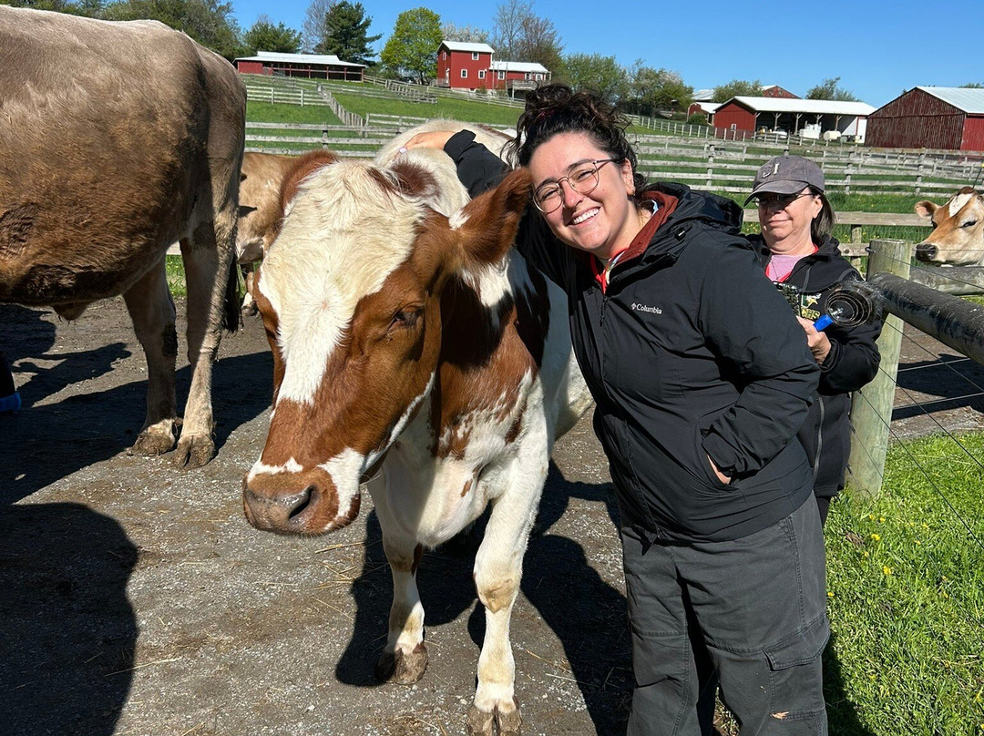 Farm Sanctuary-沃特金斯格伦必去景点