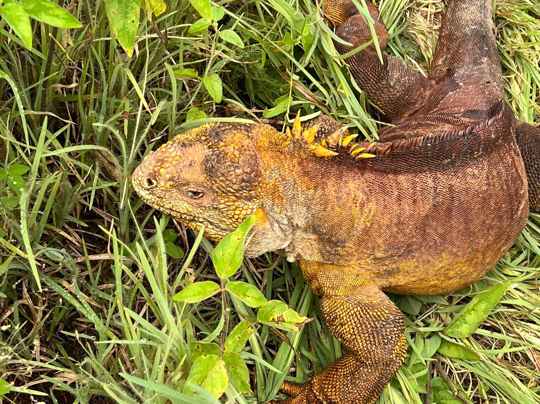 Fragata Yacht-Baltra必去景点