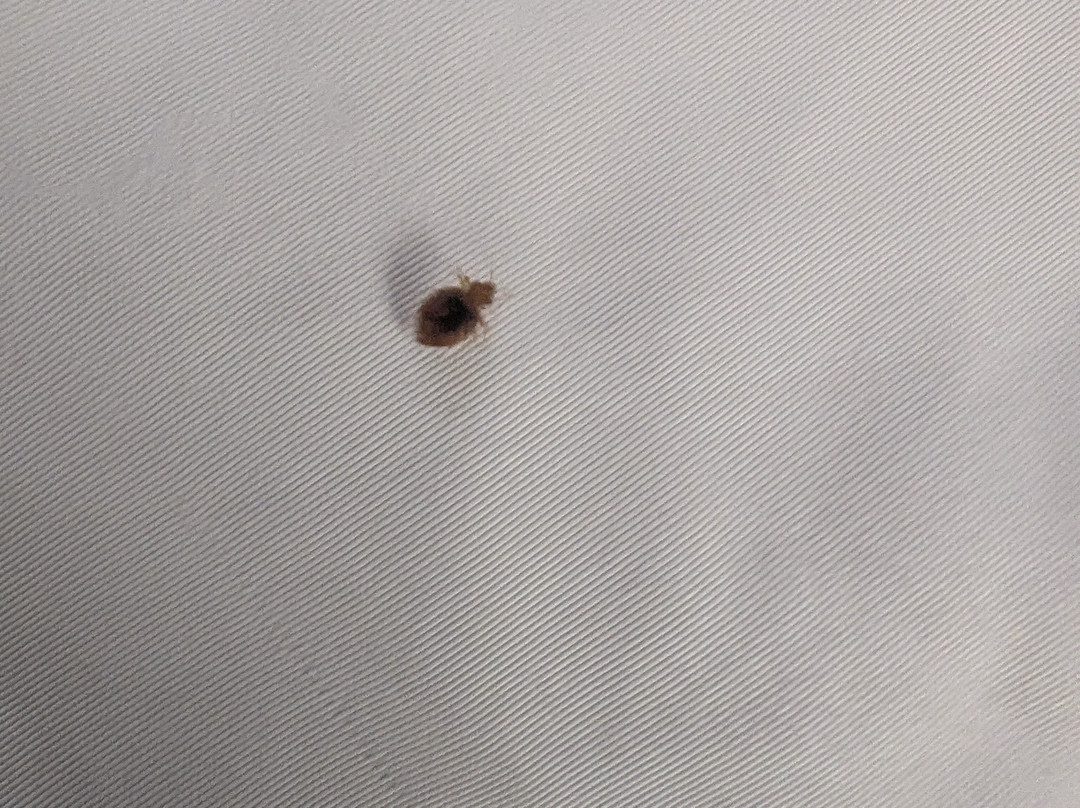 Quality Suites主图