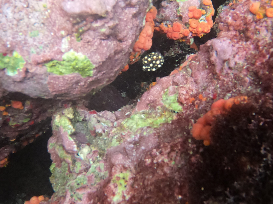 An Dlo-Le Diamant必去景点