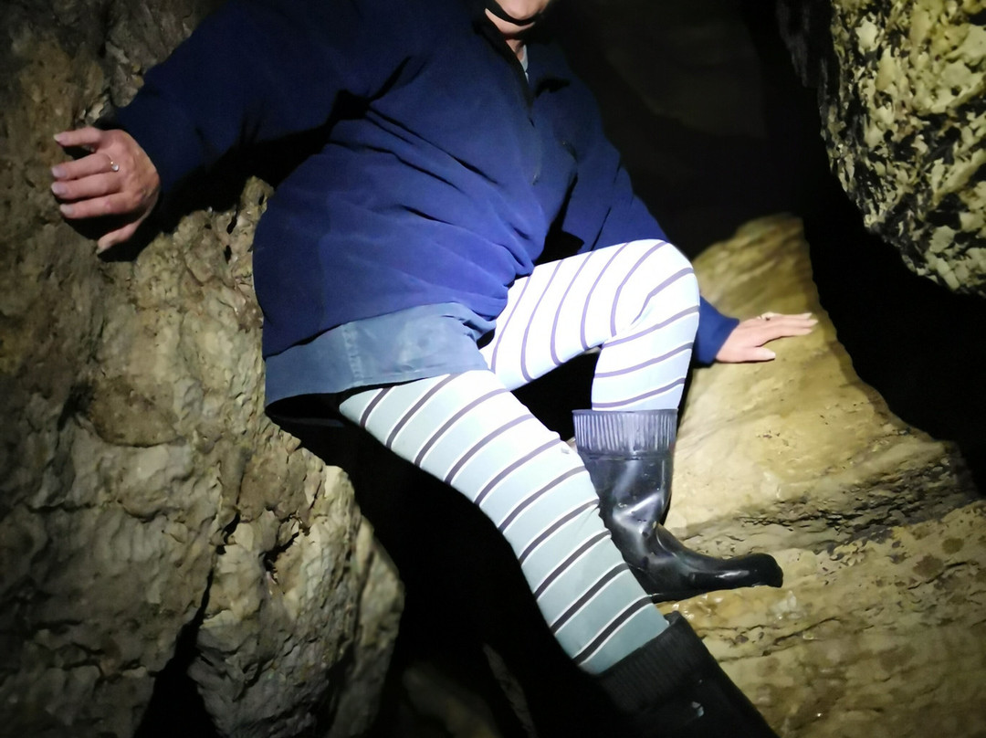 Down To Earth - Eco Cave Tours In Waitomo-怀托摩洞穴必去景点