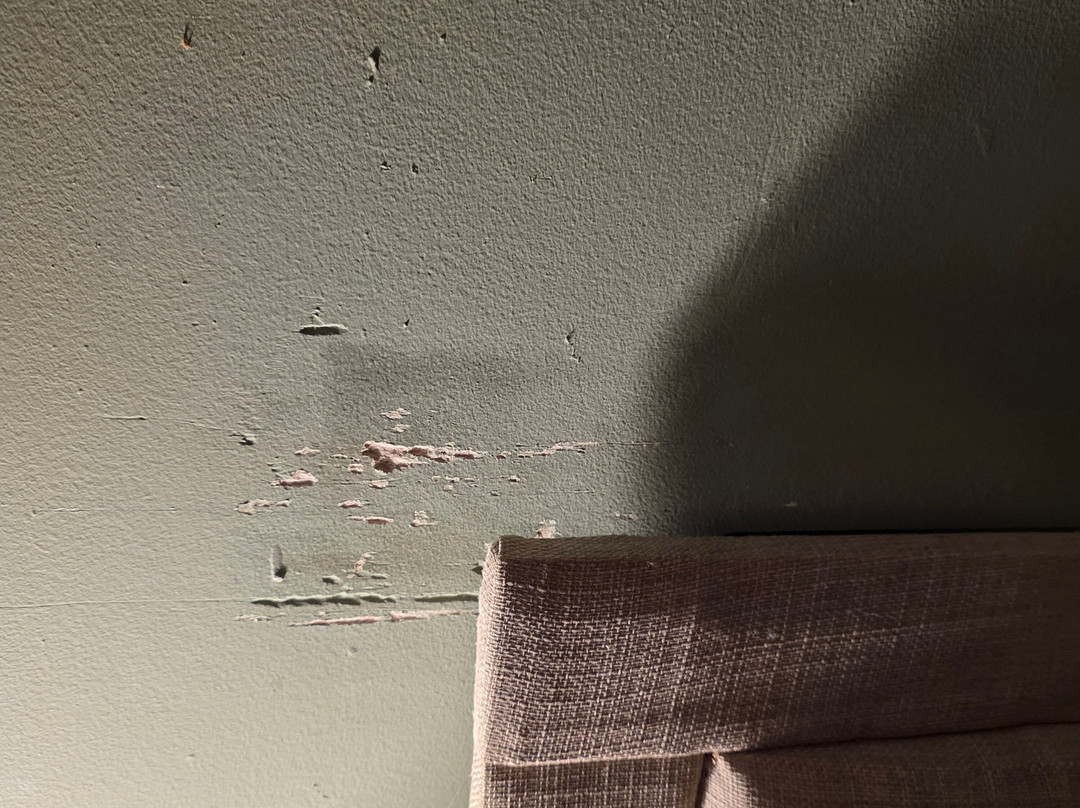 OYO The White Horse主图