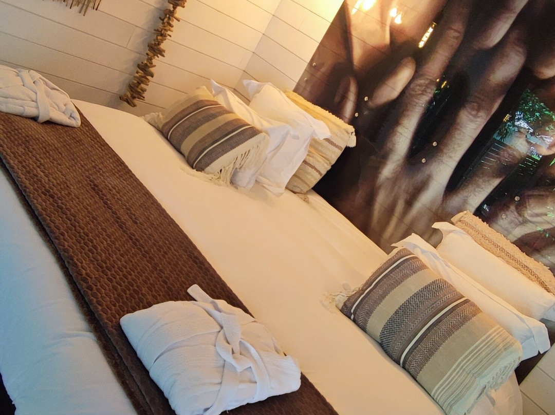 L'Haute en Couleur主图