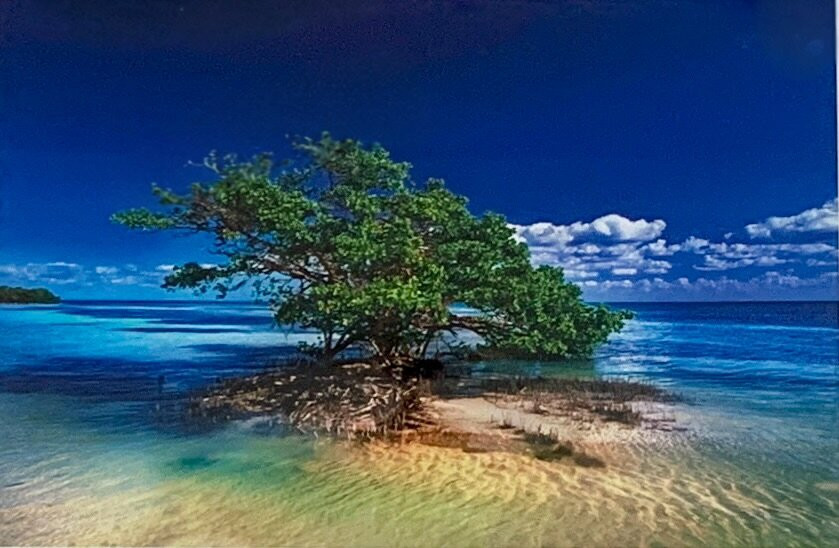 Alan S. Maltz Gallery-基韦斯特必去景点