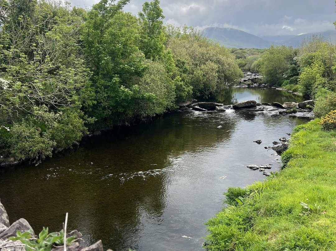 Wonderful Ireland Walking Tours-邓德拉姆必去景点