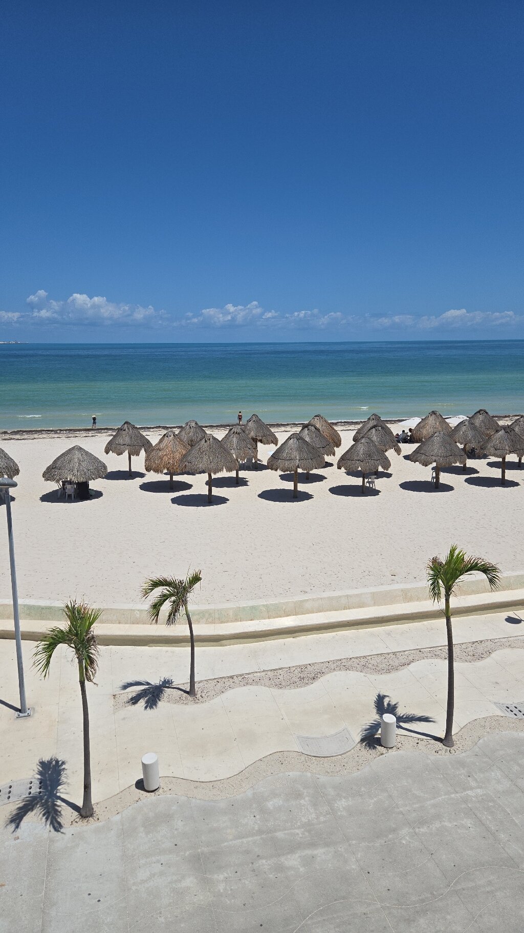 Hotel & Suites Domani-官方