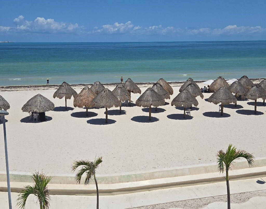 Hotel & Suites Domani主图