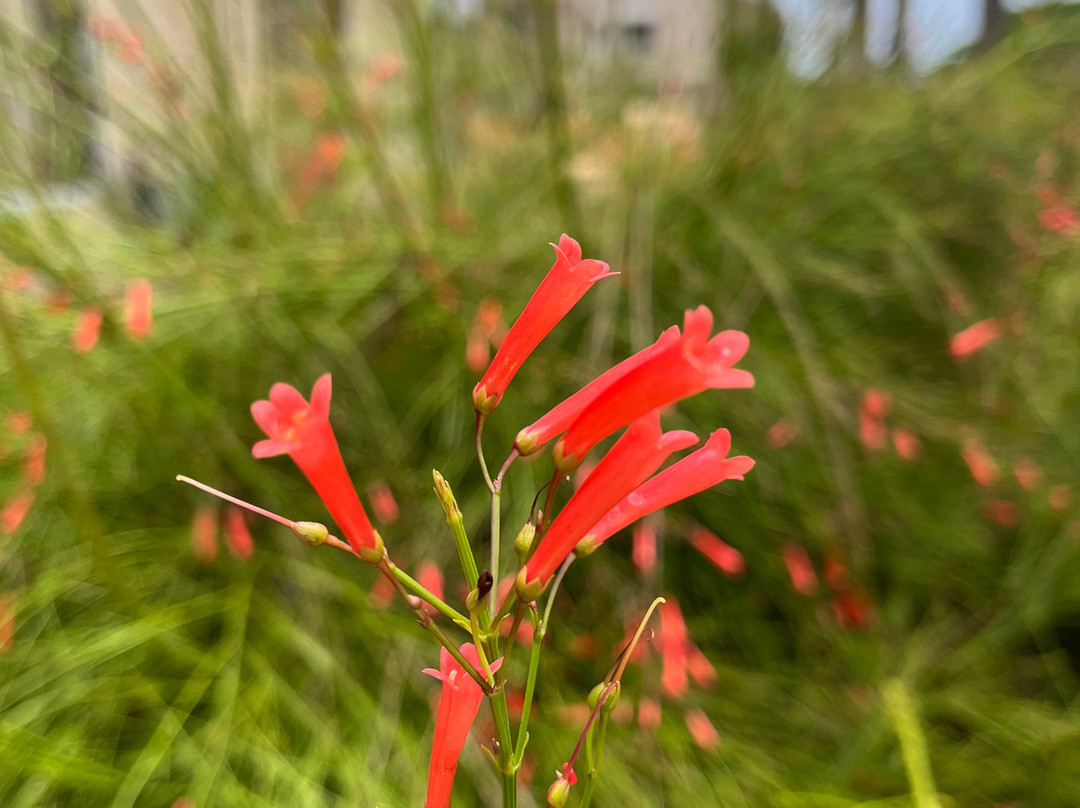 Vivaant Retreat & Conventions主图