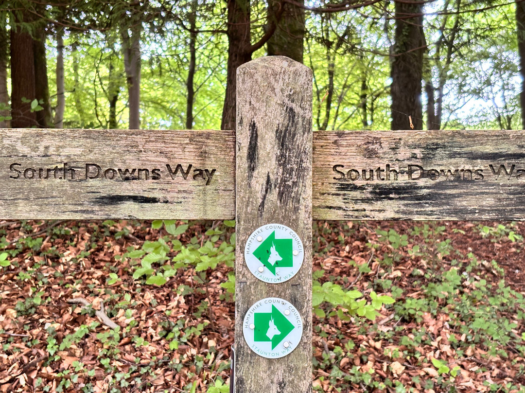 Queen Elizabeth Country Park-Horndean必去景点