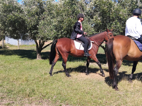 Rolleston Horse Riding Centre-基督城必去景点
