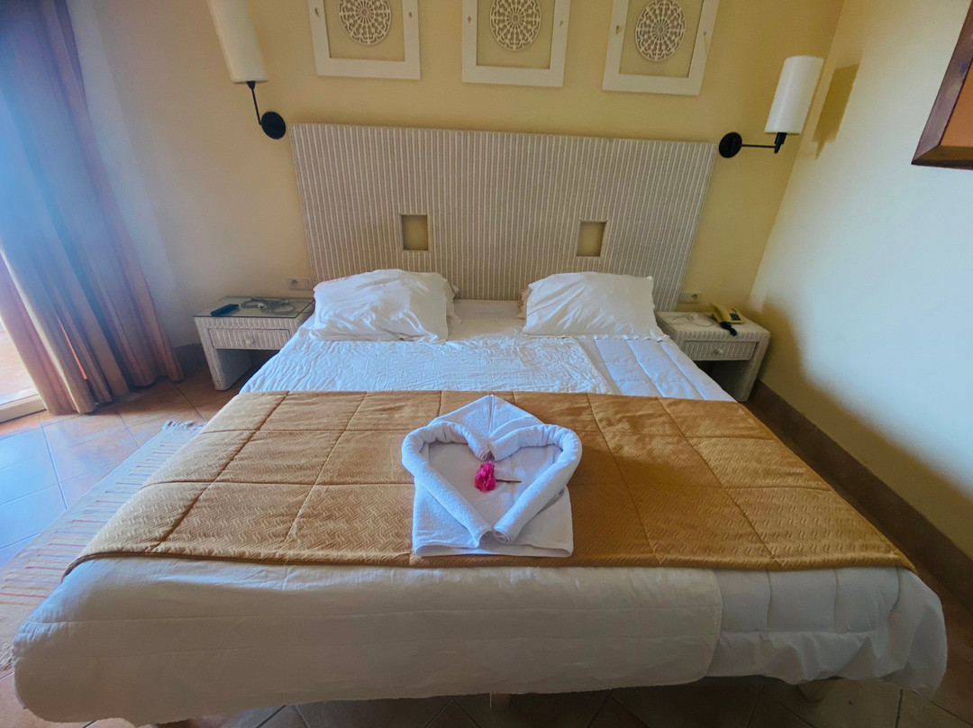 伊波罗之星萨费拉棕榈酒店主图