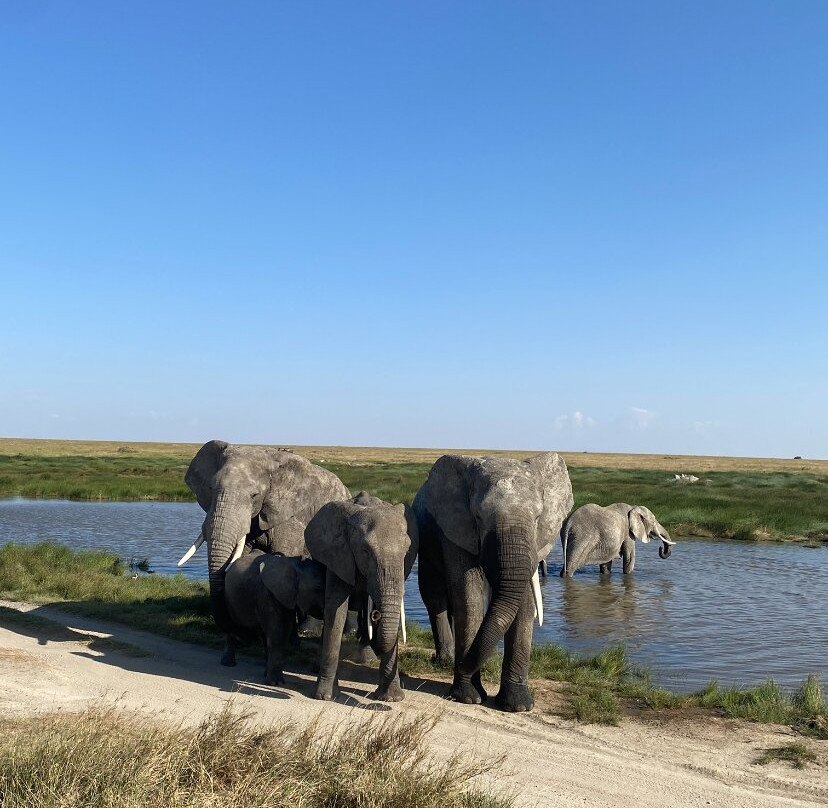 Somewhere in Africa-阿鲁沙必去景点