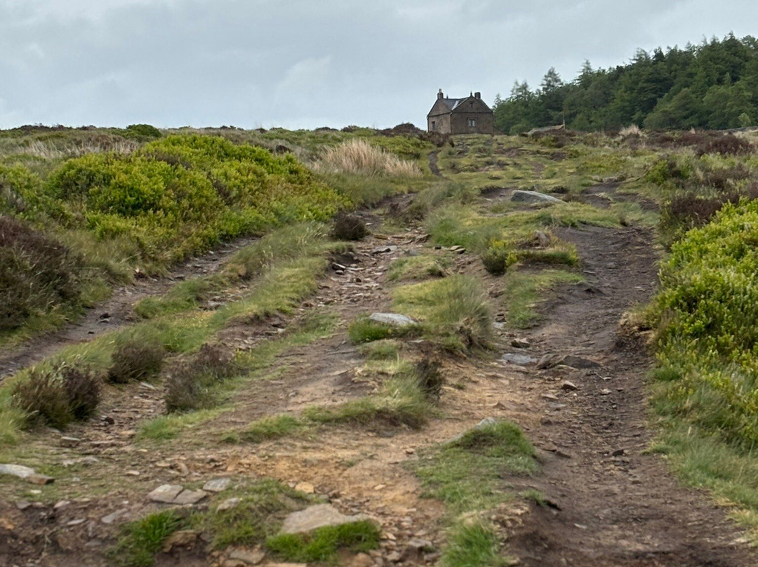 Longshaw Estate景点图片