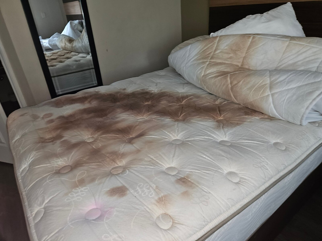 Arbanashki Han Hotelcomplex主图