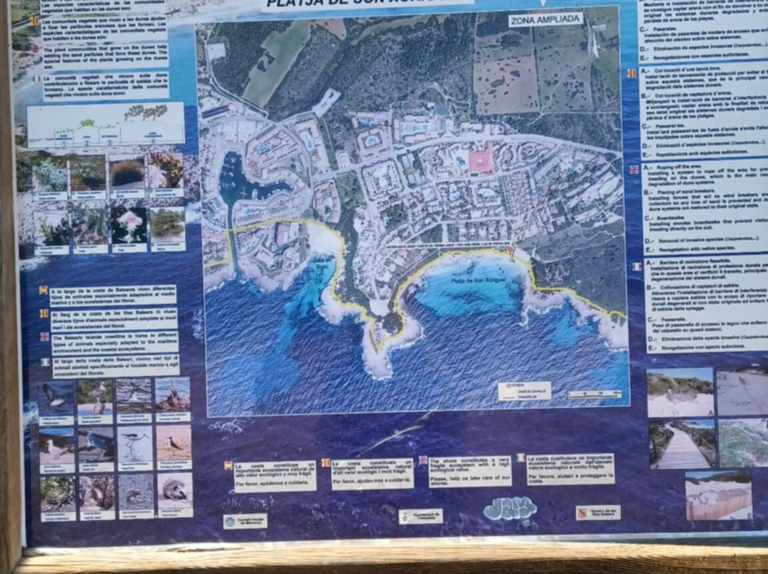Platja de Son Xoriguer-卡兰博希必去景点