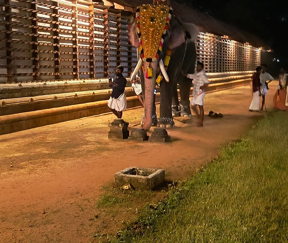 Vadakkunnathan Temple景点图片