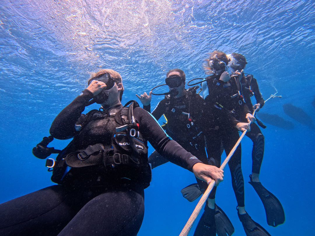 Big Kahuna Water Sports-火奴鲁鲁必去景点