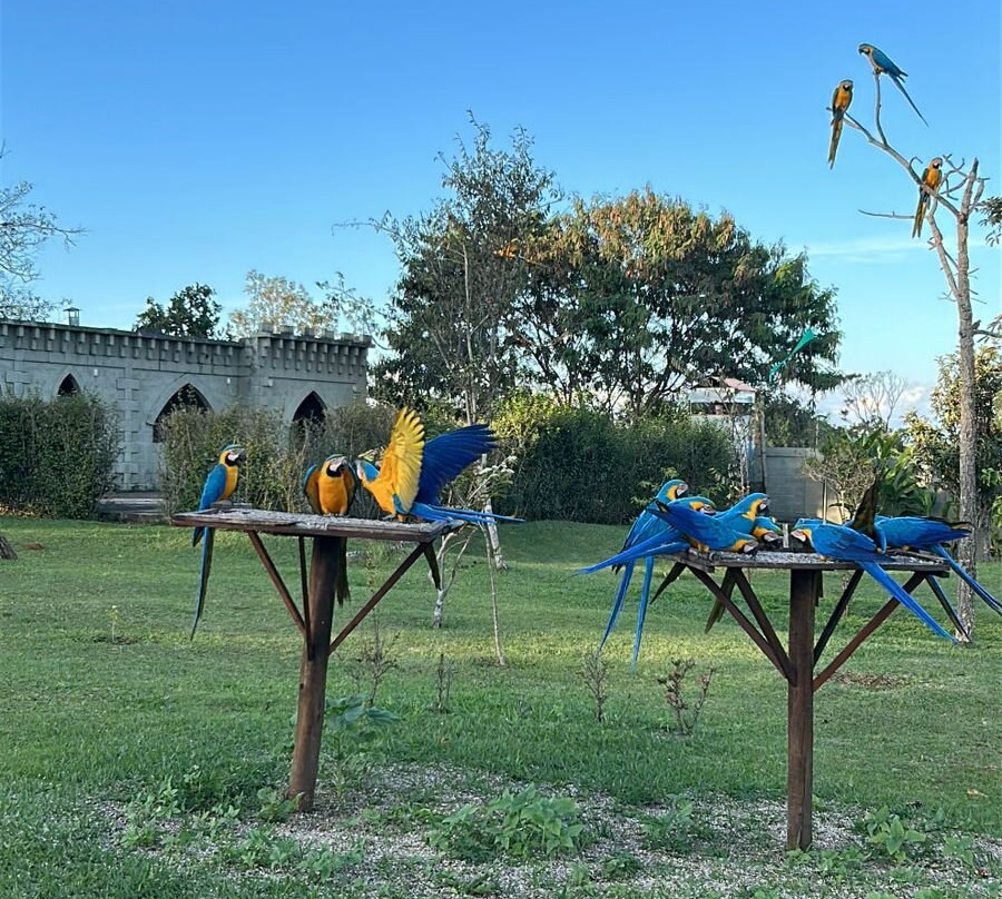 Pousada Camelot Inn主图