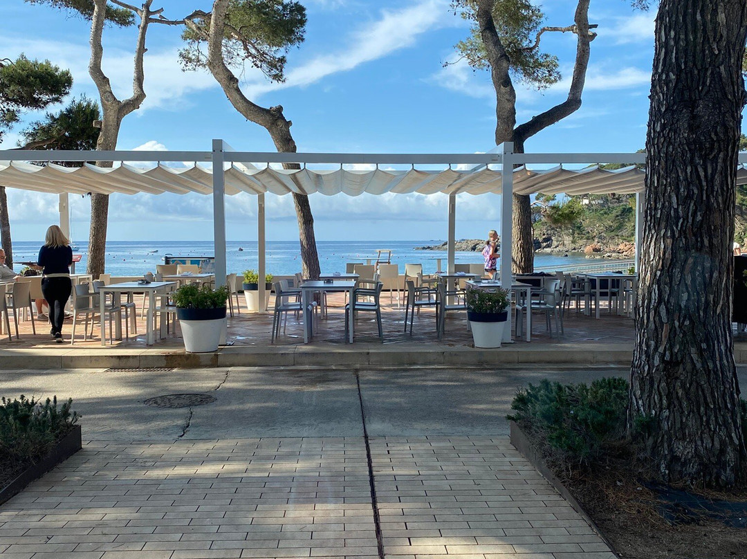 特拉马尔酒店主图