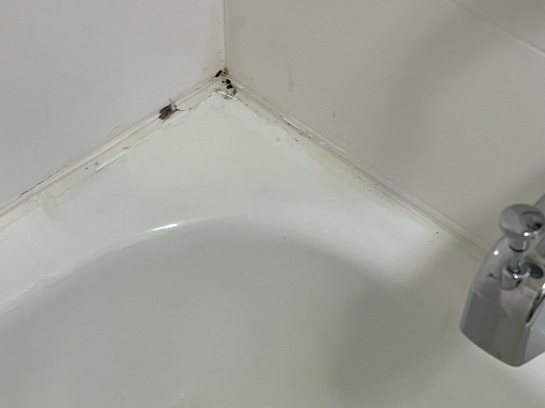 Hampton Inn Birmingham / Mountain Brook主图