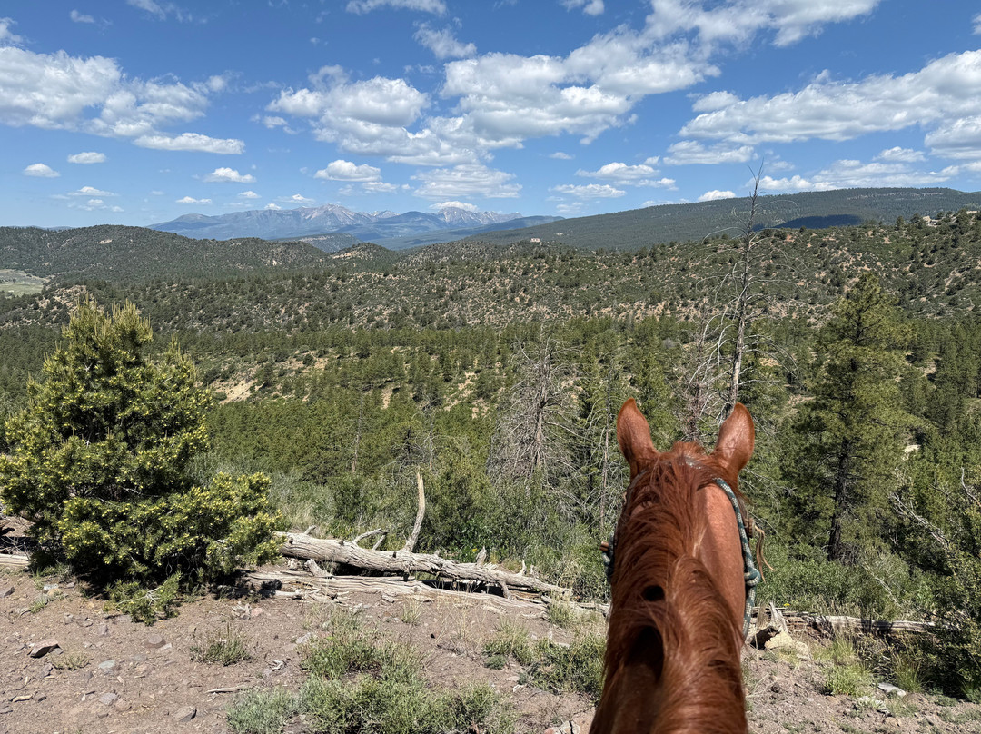 Over the Hill Outfitters-杜兰戈必去景点