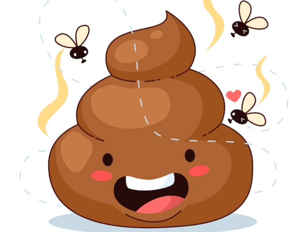 Hostal San Andres主图