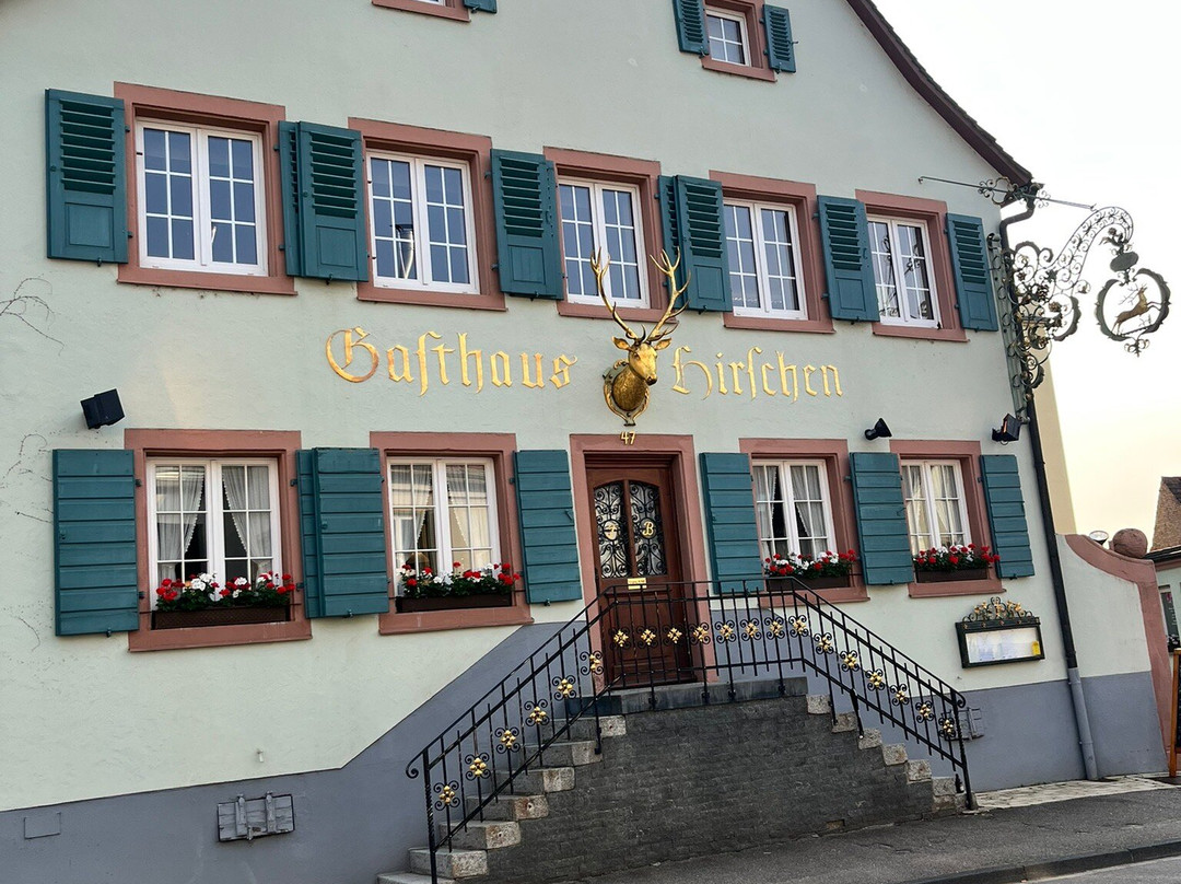 Hotel Hirschen Freiburg主图