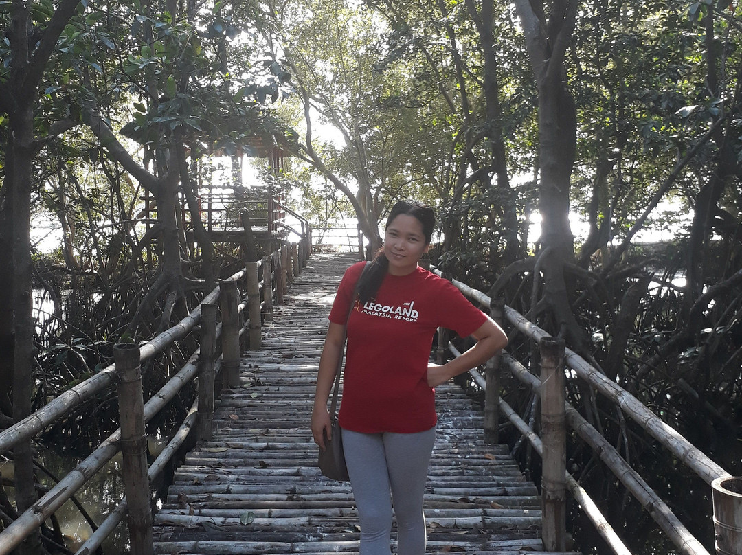 Balanga Nature and Wetland Park景点图片
