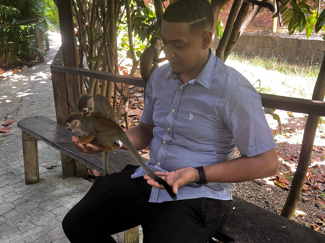 Runners Adventures-普拉塔港必去景点