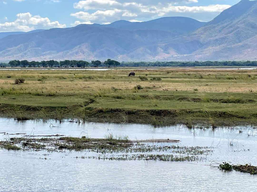 John's Camp - Robin Pope Safaris主图