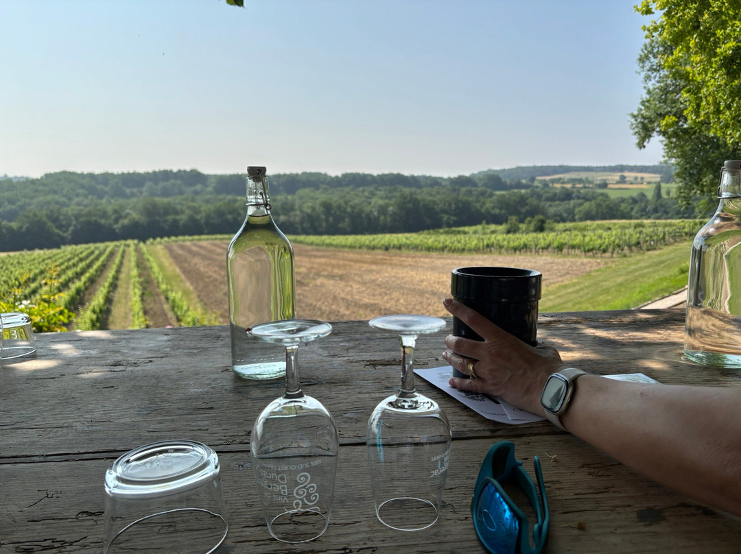 Bergerac Wine Tours景点图片