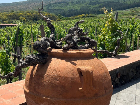 Sicily Activities-陶尔米纳必去景点