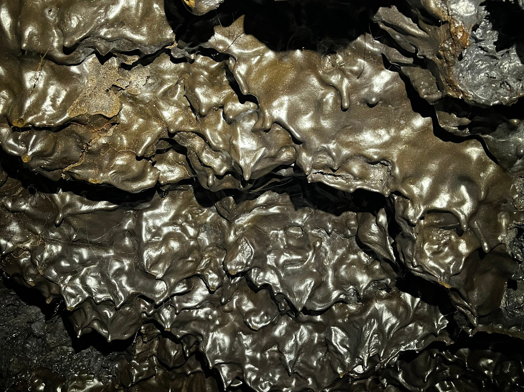 Tunnels de lave Réunion: Volcanorun景点图片