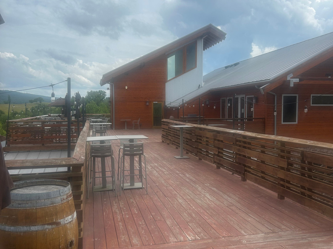 Chrysalis Vineyards at The Ag District-Middleburg必去景点