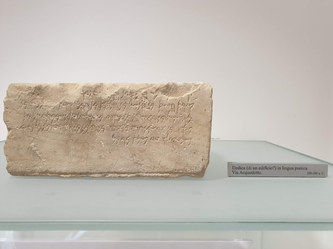 Museo Archeologico Di Olbia-奥尔比亚必去景点