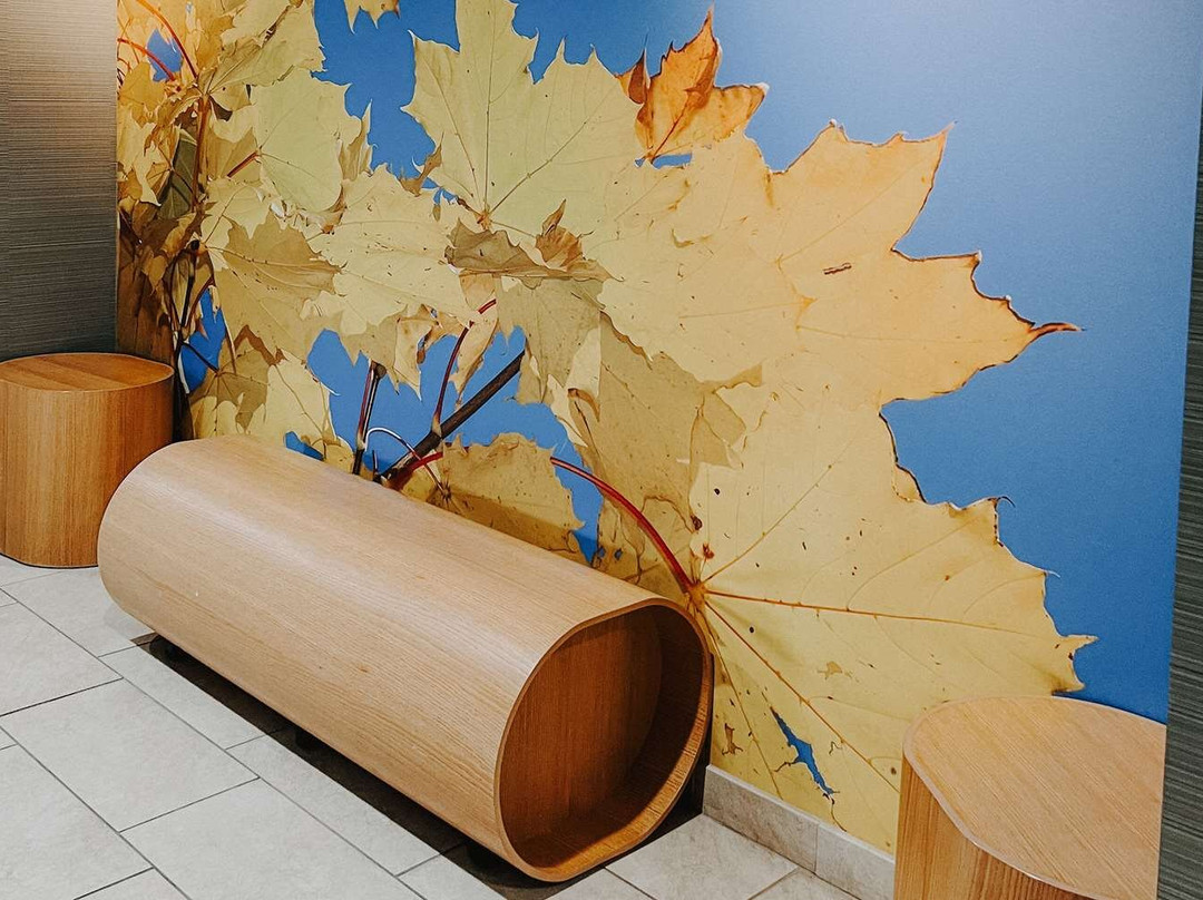 哥伦布酒店住宿-Country Inn & Suites By Radisson, Columbus-edinburgh