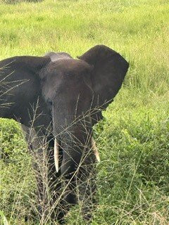 Afrika Panthera Safaris-Fort Portal必去景点