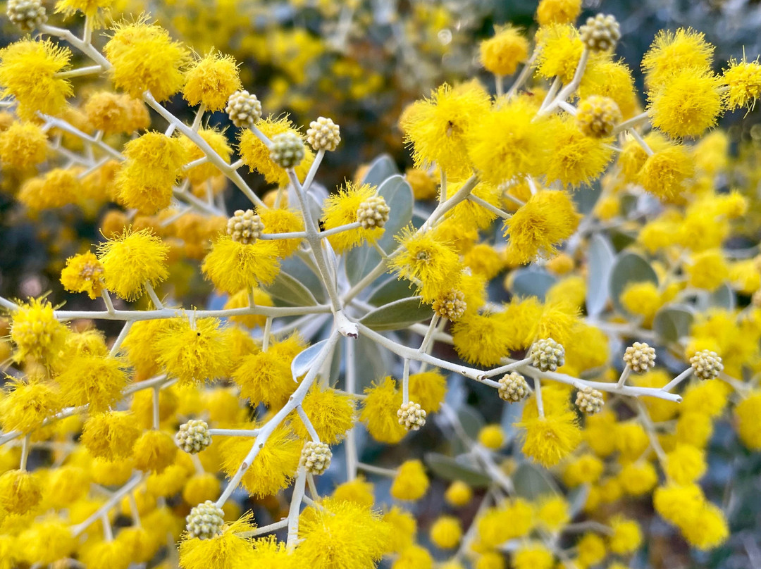 Nyerimilang Heritage Park-莱克斯恩特伦斯必去景点