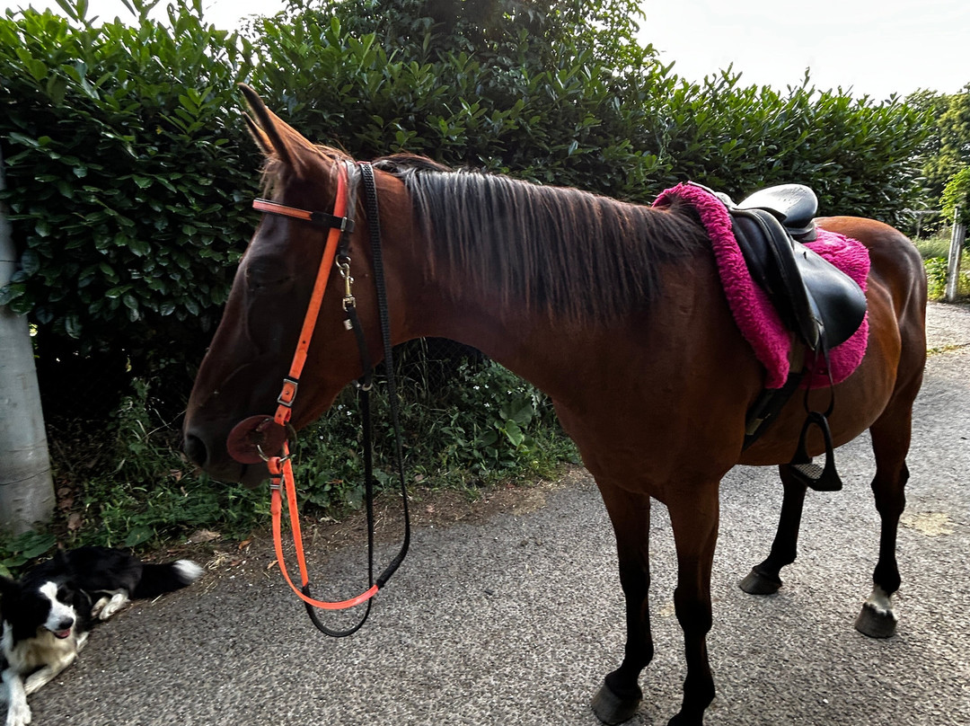 The Fairy Ranch-Rocca di Papa必去景点
