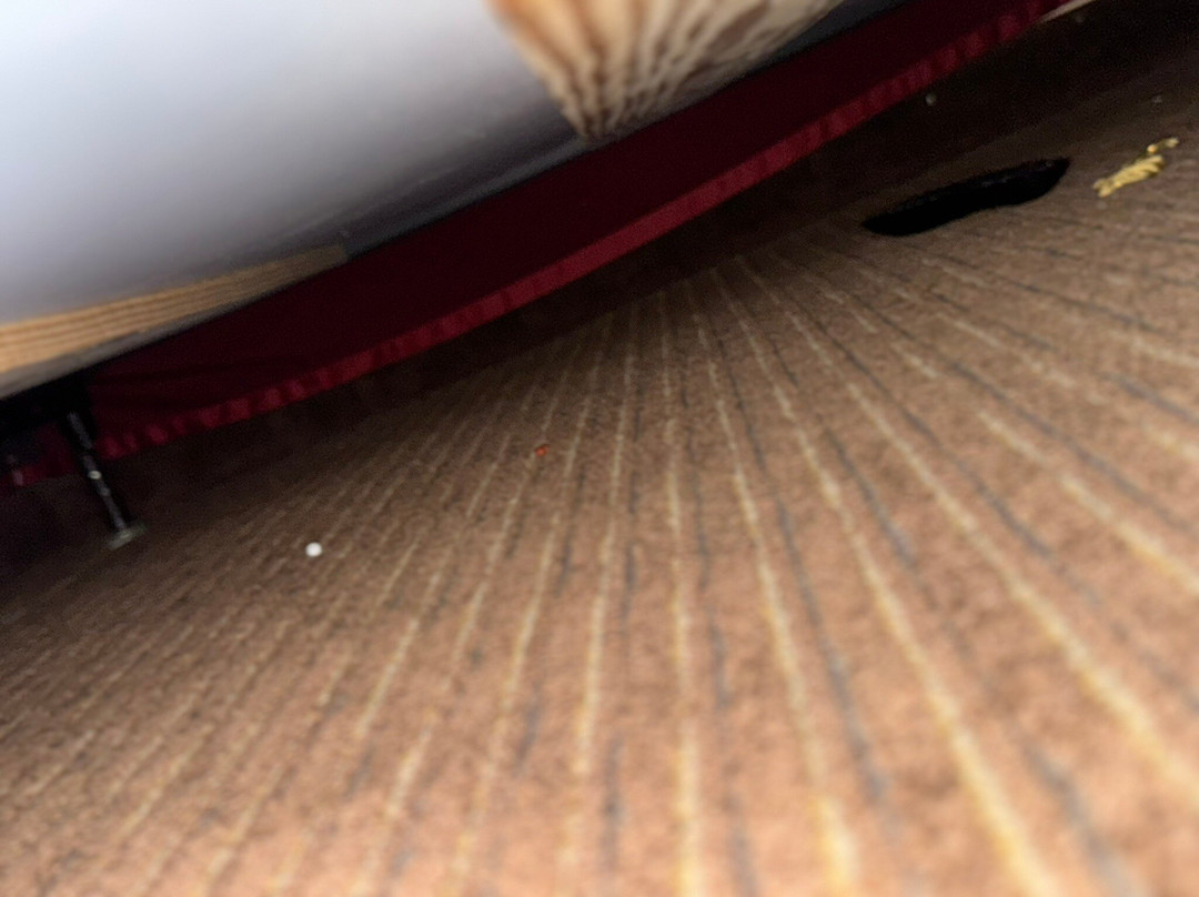 Best Western Of Alexandria Inn & Suites & Conference Center主图