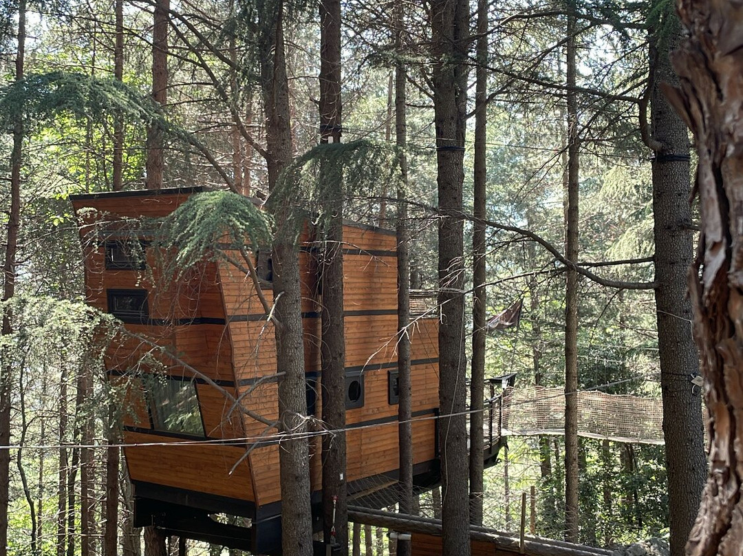 Parco Avventura Madonie景点图片