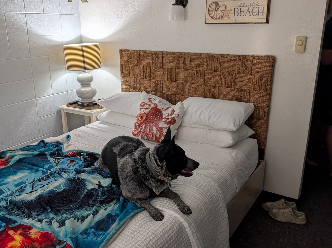 Harborview Inn & Rv Park主图